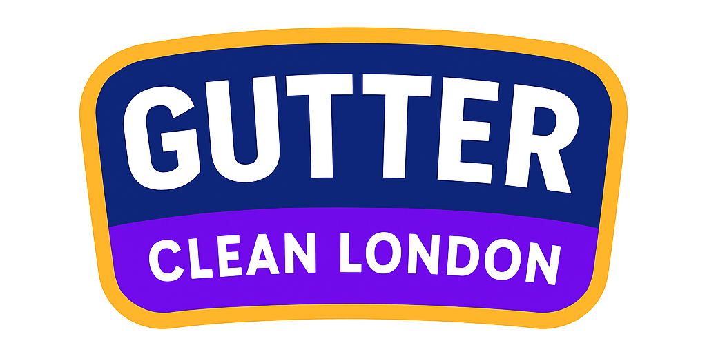 Gutter clean london logo v3