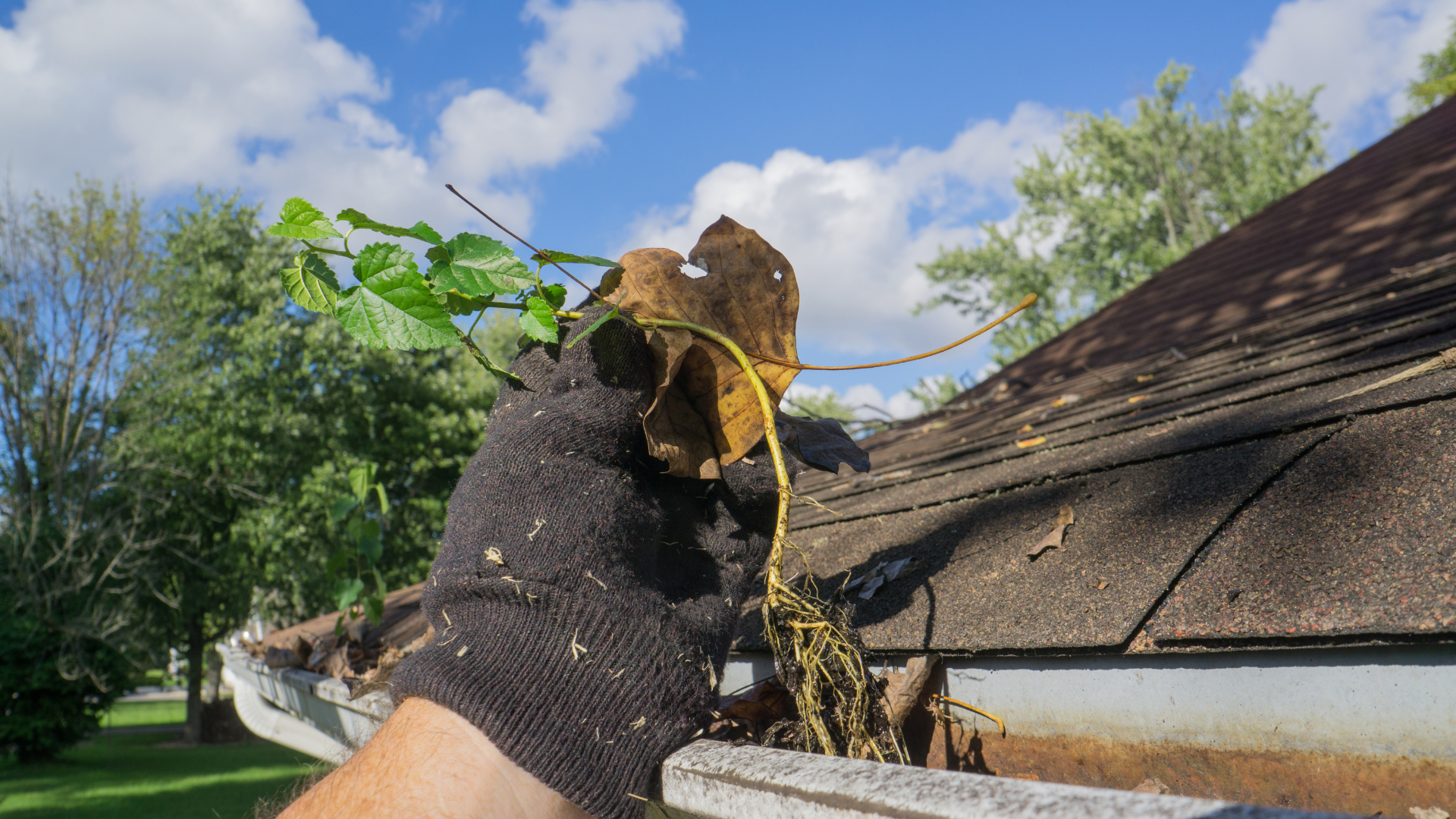Gutter being cleaned by hand