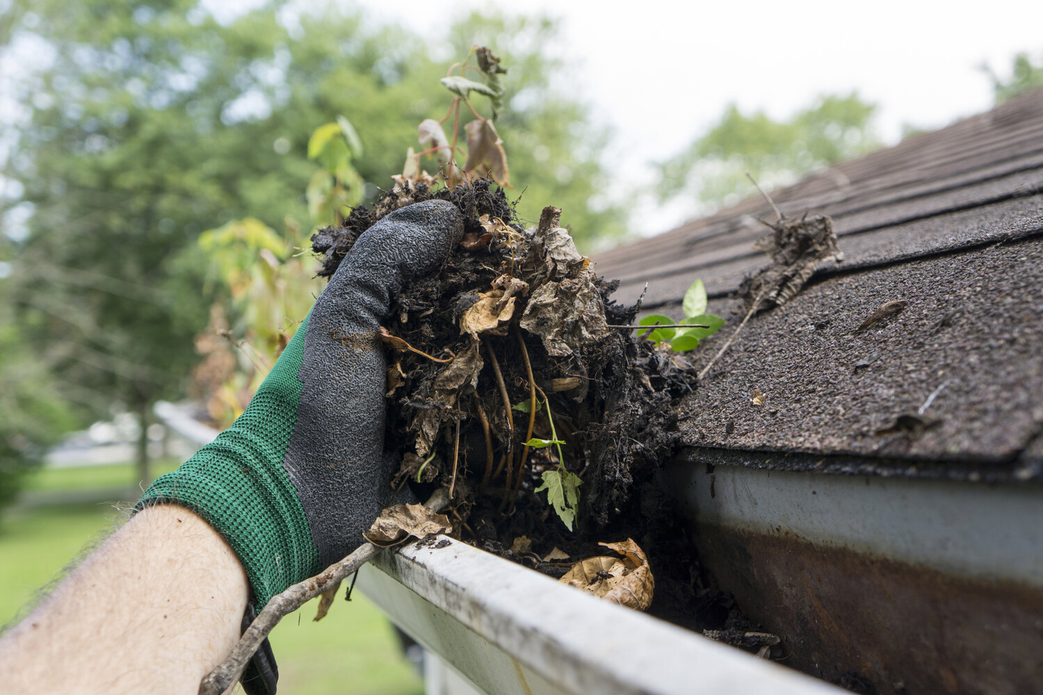 Cleaning gutters during the summer
